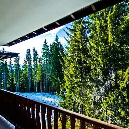 луксозен мечи чал - манастира 2